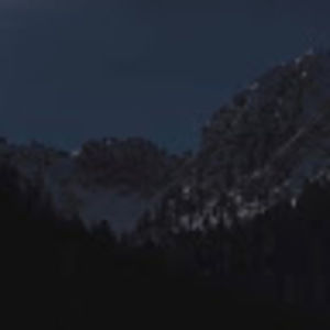 Meet your Posher, Cyrus